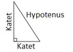 Hypotenus